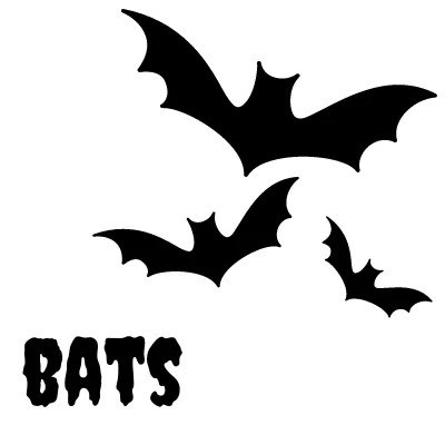 Bats