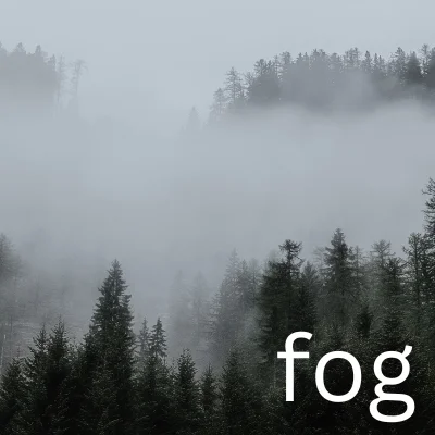 Fog